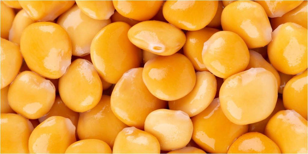 The Many Health Benefits Of Lupin Beans Weight Loss Groove